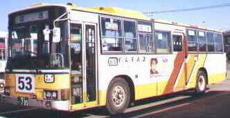 P-MP218M